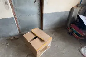 女租客退租丢弃一个箱子，打开一看尴尬了，小伙收获意外惊喜视频封面