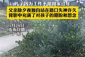 儿子因为工作不能回家过年，父亲除夕夜独自站在路口失神许久，背影中充满了对孩子的期盼和思念#儿子不能回家过年父亲站在路口等待#回家过年视频封面