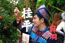 桂平麻垌北纬23度 适合荔枝生长—桂平福地！吃了荔枝更有福！
