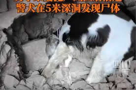汪汪队又立大功！4月8日据遂宁公安，男子杀妻抛尸山洞，警犬嗅出地下5米线索助警方找到尸体。视频封面