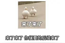 来了来了  88会员维权结果出来了 #88vip #维权