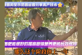 #和农夫一起掌握高产技术， 桃子长不大
