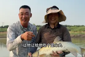 差一点就错过的草鱼狂拉   还好碰到好大哥了  #钓鱼技巧 #钓技钓法 #野钓草鱼 #钓鱼知识 #化氏飞鲨三代