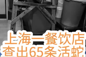 #上海dou知道 #上海  #上海一餐饮店查出65条活蛇 包括眼镜蛇、王锦蛇等。当事人涉嫌违法经营属于国家保护的重要生态、科学、社会价值的陆生野生保护动物及其制品，销售额共计人民币75682元，涉嫌构成刑事犯罪，市场监管部门已将案件线索移送至公安部门处理。视频封面