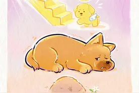 狗狗也会因为同伴的离去而悲伤…#画一个故事 #狗狗的心思都写在脸上了 #动物也有爱 #治愈 #狗狗