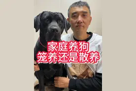 狗狗应该散养还是笼养？ 狗狗应该住笼子还是不住笼子，住大笼子还是小笼子？我来给你说说#养狗经验分享 #科学养宠攻略 #萌宠 #狗狗 #养狗人