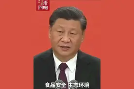 习近平：把就业、教育、医疗、社保、住房、养老、食品安全、生态环境、社会治安等问题一个一个解决好#习语回响视频封面