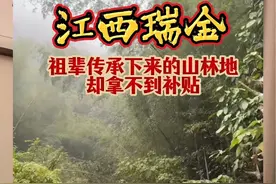 祖辈传下来地山林地却拿不到补贴#林地补偿 #林地补贴 #北京王若曦律师 #林地纠纷 #土地纠纷视频封面