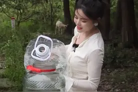 马蜂泡酒 #二妹酒行 #马蜂 #泡酒 #白酒