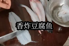 九肚鱼，在潮汕地区也叫豆腐鱼，他的肉质非常的鲜嫩，好比豆腐一样，做法也是非常的多，特别是拿来取骨做香炸，味道非常的酥脆鲜嫩！#潮汕美食 #抖音美食推荐官