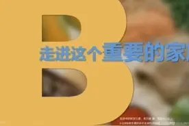 维生素B的功效视频封面