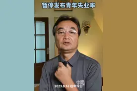 暂停发布年轻人失业率数据到底对不对？#经济