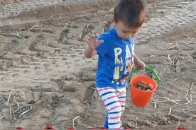 法国农村北部平原，每年秋天最开心的事情，就是有捡不完的土豆，捡的比自己种的还兴奋#千万生活dou来拍 #法国乡村生活 #法国 #日常vlog #收获的季节视频封面