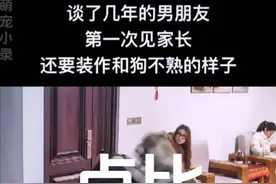 狗狗提供给主人的安全感 #汪星人 #狗子成精了 #萌宠出道计划 #狗狗的迷惑行为视频封面