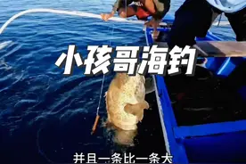 小孩哥海钓，鱼儿一条接一条，太刺激了#钓鱼 #海钓#石斑#小孩#解压视频封面