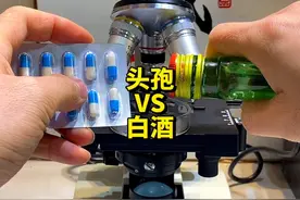 头孢配酒真的说走就走吗？#显微镜下的世界 #头孢 #科普一下视频封面
