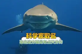 科学家取名能有多草率？#搞笑 #取名#万万没想到视频封面