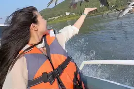 所以大雁为什么会跟着快艇飞啊？#文旅临沂 #旅行vlog #保持热爱奔赴山海