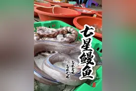 是因为脚踏七星，所以有人叫它七星鳗鱼？ 同学们，这个鳗鱼你们那儿叫什么呢？怎么做更好吃呢？#菜市场阿姨教你做菜 #内容启发搜索 #省饭课代表 #干净饮食视频封面
