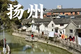 烟花三月下扬州，仅相隔一周树上的花都竞相开放，那就再去一次吧视频封面