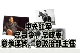 中央红军的总司令，总政委，总参谋长，总政治部主任分别是谁视频封面