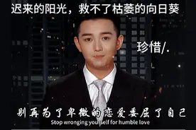 不要等我哭了，你才说你有多爱我/迟来的阳光救不了枯萎的向日葵视频封面