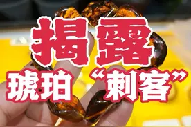 深度揭秘抚顺琥珀#琥珀 #抚顺琥珀 #彩色宝石 #珠宝设计视频封面