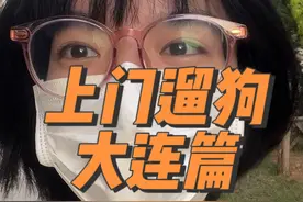 解馋了，肉乎乎的太好摸了#上门遛狗 #萌宠出道计划 #日常vlog