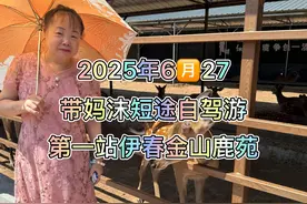 带妈沫短途自驾游，第一站伊春金山鹿苑，从佳木斯出发200公里