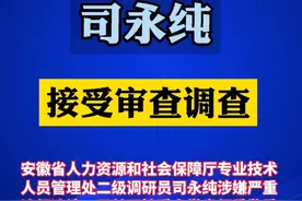 安徽省人力资源和社会保障厅专业技术人员管理处二级调研员司永纯被查#审查调查视频封面