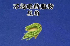 豆角的热量#豆角 #减肥 #会吃才会瘦