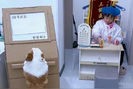 有了这个“机器” 这下莫主任的🏥“三假医院”🏥就能有序的排队就诊了😁😁😁#萌娃和萌宠 #莫主任和大饼 #搞笑视频封面