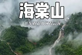 西安周边2小时，开车直达山顶看云海奇观！太震撼啦视频封面