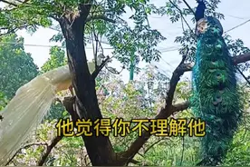 两个人一起呕气，互相内耗，然后慢慢和好。这不是爱这是劫#善良有尺忍让有度 #互相伤害的两个人 #好的婚姻就是互相治愈彼此视频封面