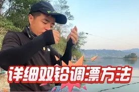双铅钓水库草鱼方法#草鱼钓法 #草鱼 #钓草鱼技巧 #钓技钓法 #钓鱼技巧视频封面