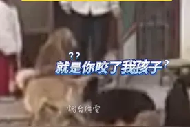 2月28日，江苏。田园犬有多帅！狗妈妈看自己孩子受委屈，当场“霸气护娃”！#狗狗 #狗狗的迷惑行为视频封面