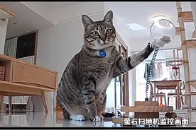 益智玩具对小咪来讲是开发智力，对大咪来讲就是预防老年痴呆，整挺好，一举两得#大咪和小咪的日常视频封面
