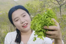 山间无杂草，利用好了都是宝，我们大山里的酸枣芽太火了，又清香又好喝，特别适合睡前喝#酸枣芽茶制作  #我的乡村生活 #酸枣芽茶 #酸枣芽炒茶视频封面