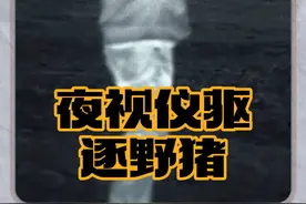 黑夜里野猪入侵农场，看外国猎人如何驱逐视频封面