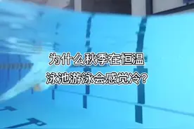为什么秋季在恒温泳池游泳会感觉冷，原来是这原因！#泳池 #游泳视频封面