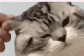 脱毛大大小小的坑我是一个不落啊，终于找到了不狐臭的ta！