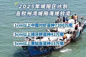 定了！2025年将有7357万尾鱼虾涌进胶州湾！#城阳 #本地新闻 #增殖放流 #海洋大集 #同城发现  编辑：邱洁仪视频封面