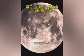 月全食血月狗都不看，营销号不看，我看血月是正常的，月光大气折射导致月升月落都会有概率，本次重点是月全食以及全食阶段的血月，所以必须要看，而且这次咱们国内大多数地区都可以看到重点。好吧，我承认天气不是特别好，本次月全食准确时间2025年9月8日凌晨00:27开始初亏，也就是肉眼可以看到明显的天狗十月，整个过程持续数小时，如果天气合适，我会继续直播看正能量天文主播拒绝营销炒作流量，我们一起看十拍的月亮，谢谢大家的点赞关注。
