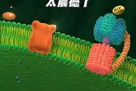 动画演示光合作用的过程#高中生物 #光合作用 #3d动画演示