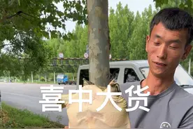 这个鱼牛逼了。 早上收获一只十几斤的大甲鱼。太刺激了。#野生甲鱼 #真实户外视频封面