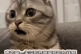 真诚地希望每个女孩子都不会被妇科病困扰！！#卫生巾 #女性健康 #月经视频封面