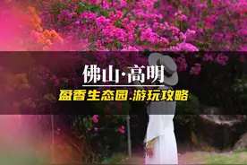 佛山盈香生态园的游玩攻略准备好了，你准备好过来了吗视频封面