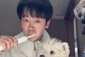 不管是人类还是小狗，干净的牙齿真的很给笑容加分~ #西高地jojo #西高地白梗 #笑容加电动牙刷 #宠物