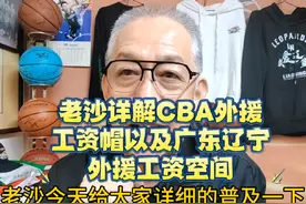 老沙详解CBA外援工资帽以及广东辽宁队外援工资空间 #辽宁飞豹视频封面
