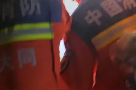 夏日蛇行悄无声，居家出行多留心，记得要及时拨打119喔视频封面